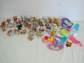Littlest Pet Shop Dogs & Cats (40) With Some Accessories