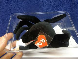 Ty Beanie Baby Web,  The Spider.  2nd Generation In,  In Case