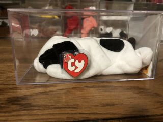 Ty Beanie Baby Spot With Spot - Mwmt Museum Quality 3rd / 2nd - Authenticated