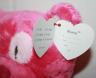 TY Classic Kitty Cat BLUESY Hot Pink Plush Stuffed Floppy SOFT TOY 2005 Lovey 4