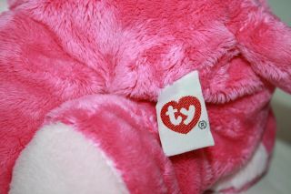 TY Classic Kitty Cat BLUESY Hot Pink Plush Stuffed Floppy SOFT TOY 2005 Lovey 8