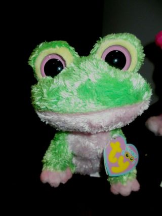 Rare 6 Inch Ty Beanie Boo " Kiwi " The Frog Creased Tag