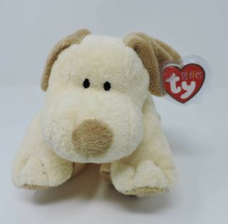 Ty Pluffies Plopper Dog Plush Cream Brown 9 " Soft Toy Stuffed Animal Puppy