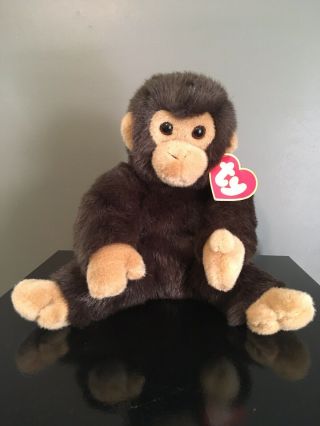 Ty Chuckles Chimp Style 7303/extremely Rare,  2 Inch Swing Tag/chimp/14 Inches/pvc