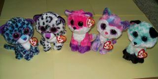 Ty Beanie Boo Izabella Violet Lizzie Joey Piper 6 " Claire 