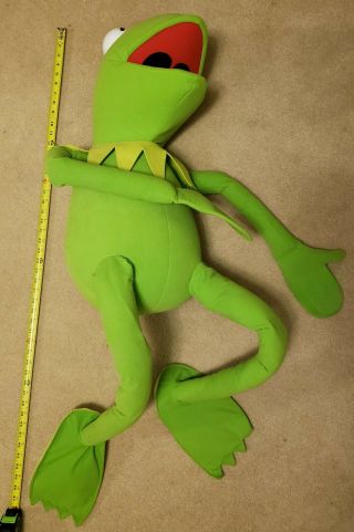 Kermit the Frog 48 