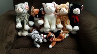 Ty Cats - - 2 Beanie Babies W/pvc Pellets And 5 Beanie Buddies - All