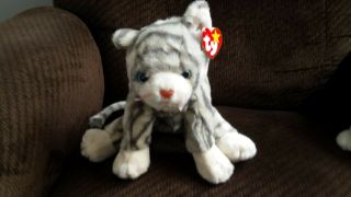 TY Cats - - 2 Beanie Babies w/PVC Pellets and 5 Beanie Buddies - All 2