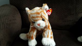TY Cats - - 2 Beanie Babies w/PVC Pellets and 5 Beanie Buddies - All 3
