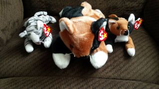 TY Cats - - 2 Beanie Babies w/PVC Pellets and 5 Beanie Buddies - All 5