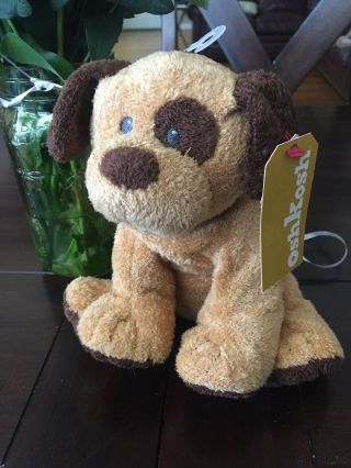 Error In Manufacturing - Ty Pluffies Barkers Brown Puppy Dog Sewn Eyes Oshkosh