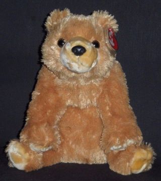 Ty Classic Plush - Campper The Bear - With Mnt Tag