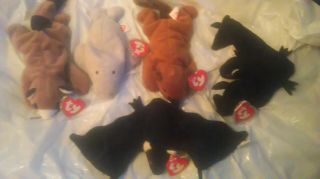 5 Rarer 3rd.  Gen Ty Beanie Babies 2 Radars With Different Tush Tags