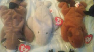 5 Rarer 3rd.  GEN Ty Beanie Babies 2 RADARS WITH DIFFERENT TUSH TAGS 3