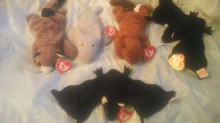 5 Rarer 3rd.  GEN Ty Beanie Babies 2 RADARS WITH DIFFERENT TUSH TAGS 5