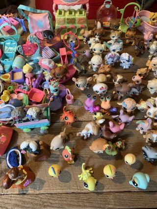 Hasbro Littlest Pet Shop Huge 99 Pets And Large Assortment Of Accessories