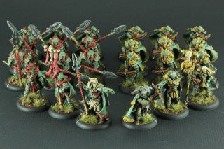 Hordes: Pro Painted Circle Of Orboros Wolves And Reeves Of Orboros