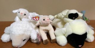 Ty Beanie Baby Lamb Set Chops - Buddy,  Baby,  Teenie; Fleece - Buddy,  Baby; Ewey - Baby