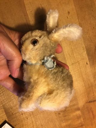 Antique Vintage Steiff Bunny Rabbit Sonny 4” W/ Id Darling
