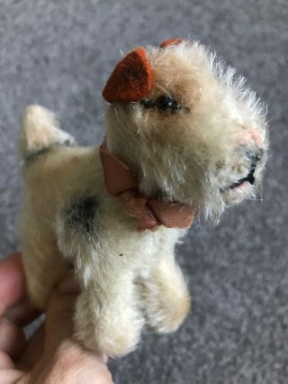 Steiff Miniature ‘foxy’ Fox Terrier Dog W/id /ear Button - So Cute Nr