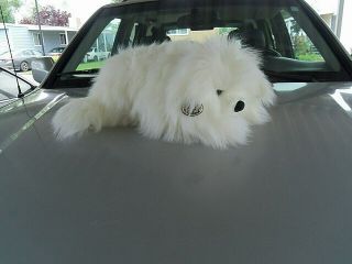 Giant 26 " Plush Stuffed Long Haired Floppy White Dog