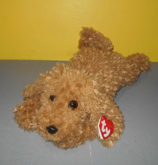 Ty Classic Plush - Baylee The Tan Dog Large Version - 20 Inches Long Bean Plush