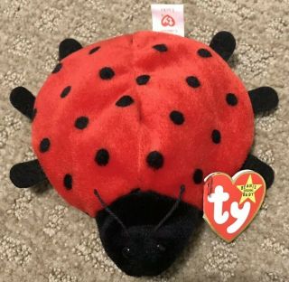Rare Ty Beanie Babies " Lucky The Ladybug " With Extra Spots 4th Gen Tag