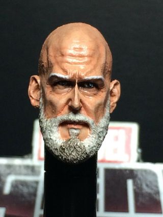 Marvel Legends Painted/fitted R.  S H.  T Obadiah Stane 1:12 Head Cast For 6 In Fig.