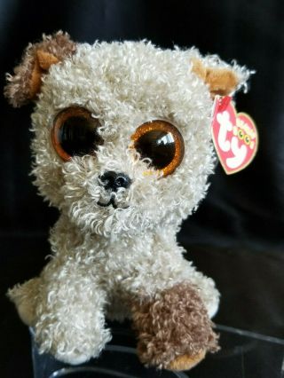 Ty Beanie Boo Rootbeer 6 " Dog Glitter Eyes Tan Brown Red Tag Retired