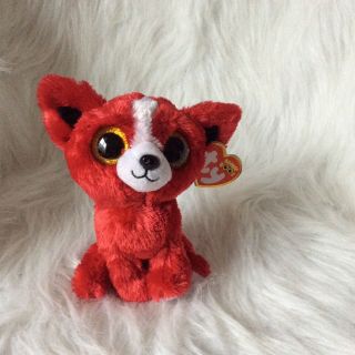 Ty Beanie Boos Tomato The Red Dog 6 " - Gift Show Exclusive - With Tag
