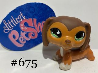 Authentic Littlest Pet Shop - Hasbro Lps - Dachshund Dog 675