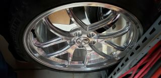 50th Anniversary Mustang Snake Wheels Brushed Chrome With Tires