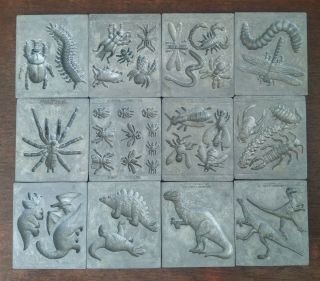 12 Toymax Creepy Crawlers Metal Tray Molds Goop Insects And Dinosaurs
