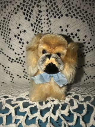 Vintage Steiff Miniature Mohair Peky Pekinese Dog Button And Label Cute Fuzzy