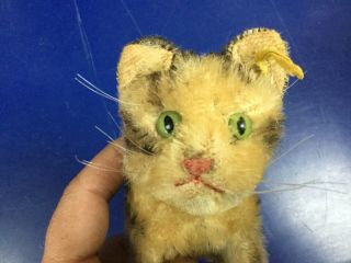 Antique German Rare Steiff Medium Susi Tabby Cat Kitten 5.  5 " W/ Id Sweet