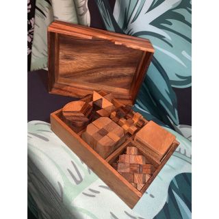 Wooden Brain Teaser Mind Games Mental Stimulation Wood Puzzles In Storage Box