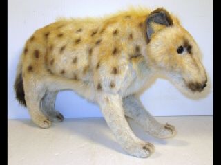 Hansa Stuffed Animal Plush Lifelike African Spotted Hyena Realistic 15 " Long
