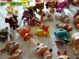 Littlest Pet Shop 60 pets and accessories more than 200 items furniture vehicles 2