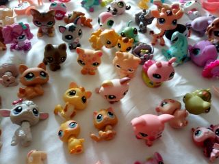 Littlest Pet Shop 60 pets and accessories more than 200 items furniture vehicles 3