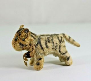 Vintage Pre - War Steiff Mohair Tabby Cat With Green Eyes,  Ribbon Button