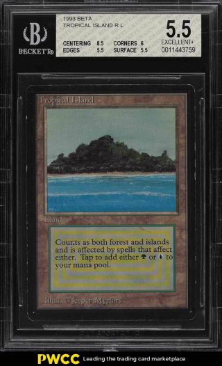 1993 Magic The Gathering Mtg Beta Dual Land Tropical Island R L Bgs 5.  5 (pwcc)