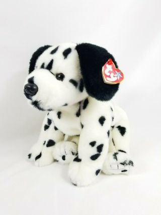 12 " Ty 1999 Beanie Buddies Dotty Dalmatian Puppy Dog Stuffed Plush Hang Tag