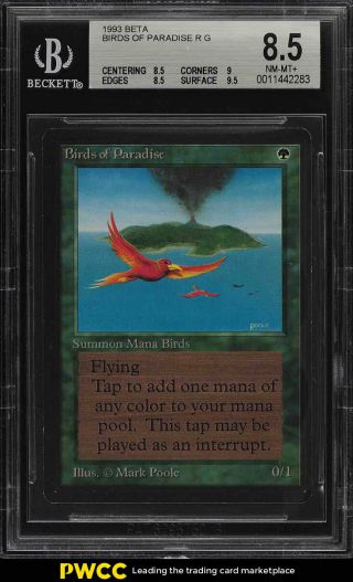 1993 Magic The Gathering Mtg Beta Birds Of Paradise R G Bgs 8.  5 Nm - Mt,  (pwcc)