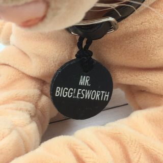 MR.  BIGGLESWORTH 26 