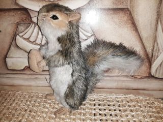 Hansa Squirrel With Nut Realistic Plush Animal