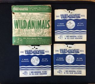 Wild Animals 6 Vintage Sawyer 