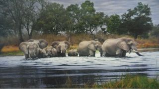Heye 2000 Piece Panorama Puzzle Herd Of Elephants