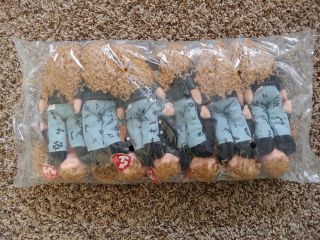 12 Pack Ty Teenie Beanie Bopper Babies Paula Plappertasche 8.  5 " Nwt Stuffed Doll