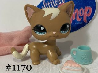 Authentic Littlest Pet Shop - Hasbro Lps - Shorthair Cat 1170 W/ Accessories