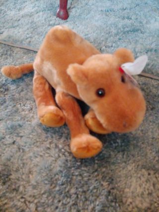 Rare Humphrey The Camel Ty Beanie Baby Highly Collectible Retired With Tag.  1998
